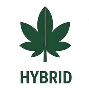 Hybrid