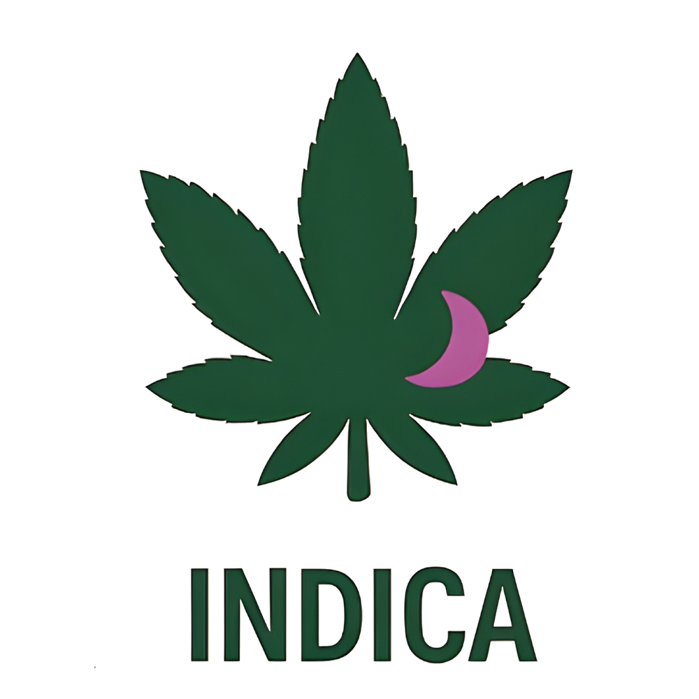 Aurora Indica Feminised Seeds